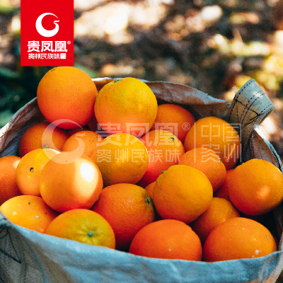贵州黔东南脐橙